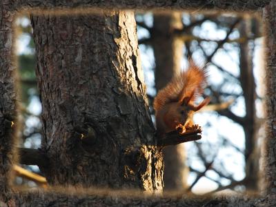 Прикрепленное изображение: DSC_0019_800.jpg